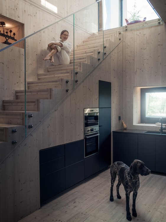 Frau sitzt auf einer Holztreppe mit Glasgeländer, unten in der Küche steht ein Hund, der nach rechts schaut.