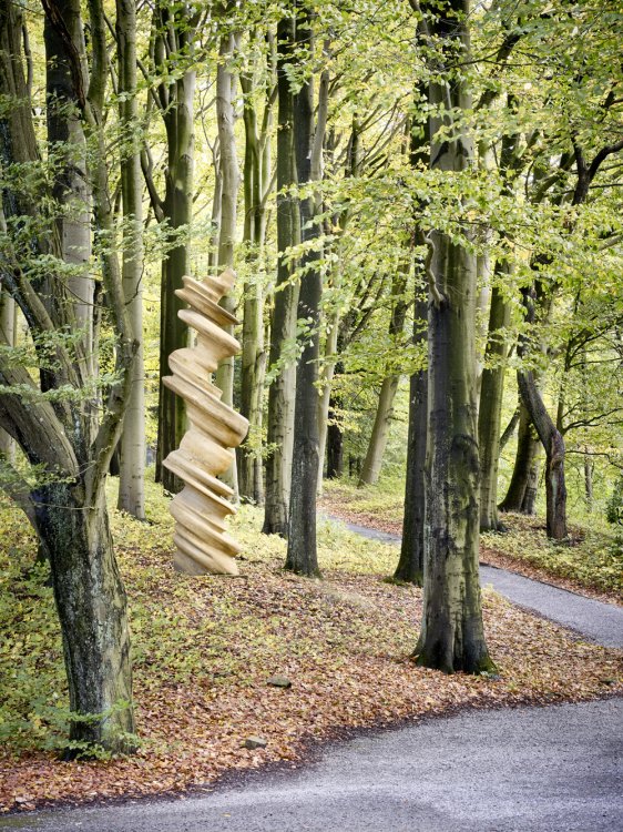 Eine aus geschwungenen Ringen bestehende Sandsteinskulptur steht in einem Laubwald.