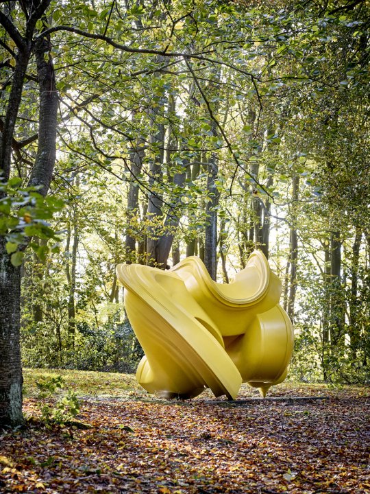 Eine gelbe geschwungene Skulptur in einem Laubwald, das Sonnenlicht fällt durch die Bäume.