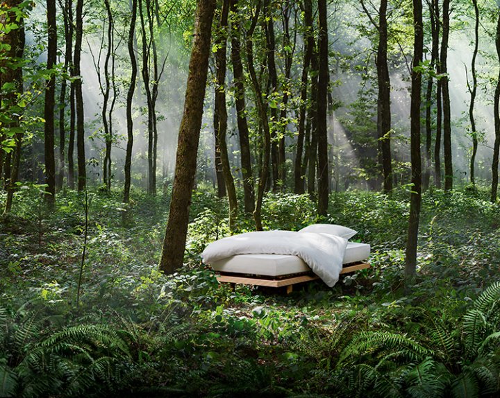 Bett mit weisses Bettdecke steht mitten im Wald.