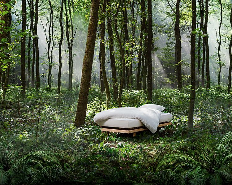 Bett mit weisser Bettwäsche steht mitten in einem grünen Wald.