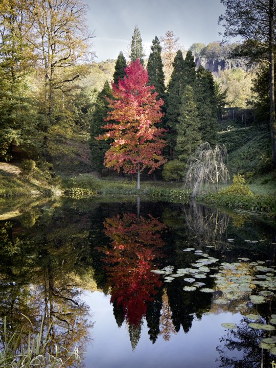 Bäume in den schönsten Herbstfarben in grün, gelb und rot vor einem ruhigen kleinen See.