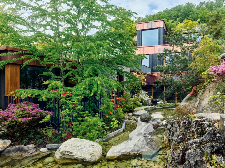 Japanischer Garten mit Teilsicht auf ein zweistöckiges Einfamilienhaus.