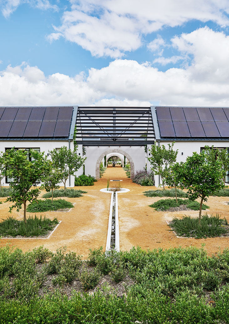 Ein symmetrisch angelegter Kräutergarten mit je drei Bäumen auf jeder Seite bilden den Abschluss eines einstöckigen, modernen weissen Wohnhauses in Südafrika.