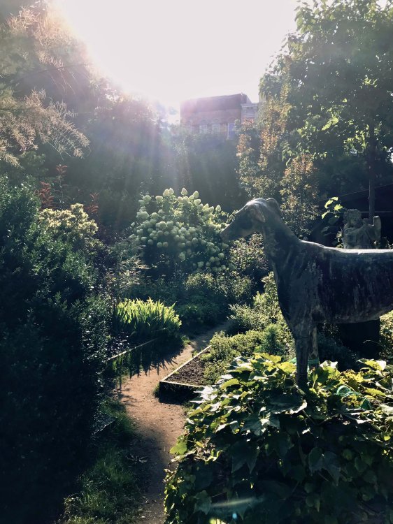 Eine Hundeskulptur aus Eisen steht in einem üppigen, öffentlich zugänglichen Garten in Manhattan, umgeben von Blumen und Pflanzen.
